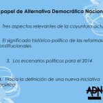 El papel de Alternativa Democratica Nacional